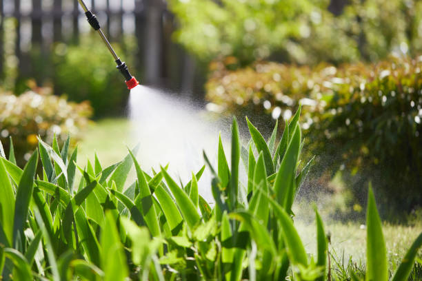 24/7 Emergency Wasp Removal experts in Hebron, KY