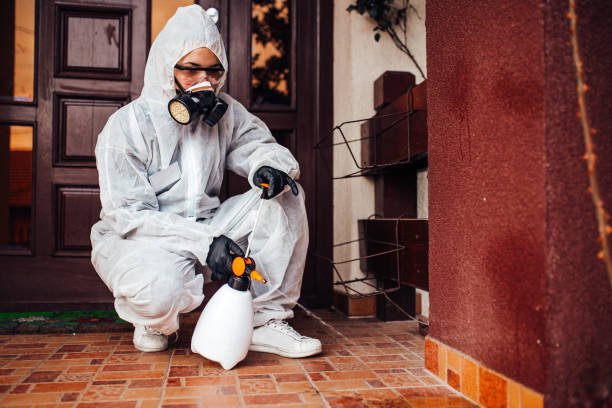 Reliable Wasp Removal contractor in Hebron, KY by Show Me Pest Control